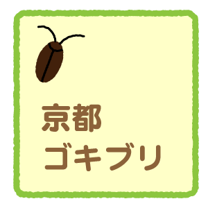 京都のゴキブリ駆除