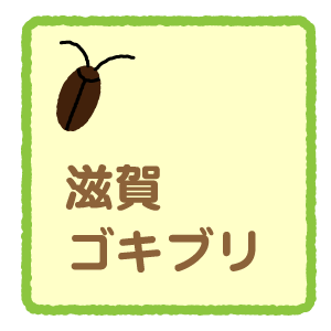滋賀県のゴキブリ駆除