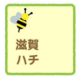 滋賀のハチ駆除